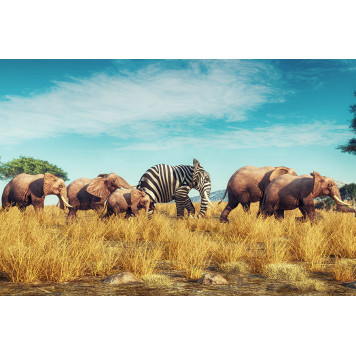 Elephant with zebra skin into crowd concept