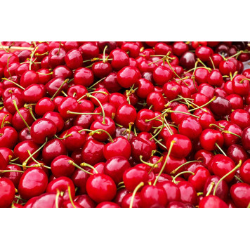 Fruity sweet cherries