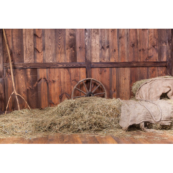 Hay wood barn